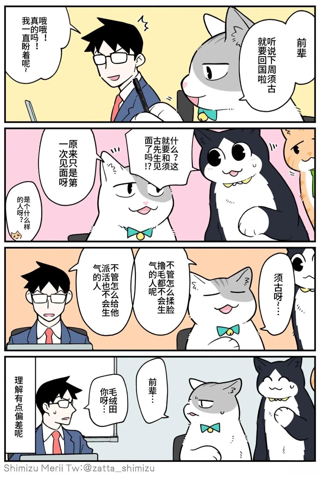 黑心企业的职员变成猫之后人生有了转变的故事 第5.3话 第12页
