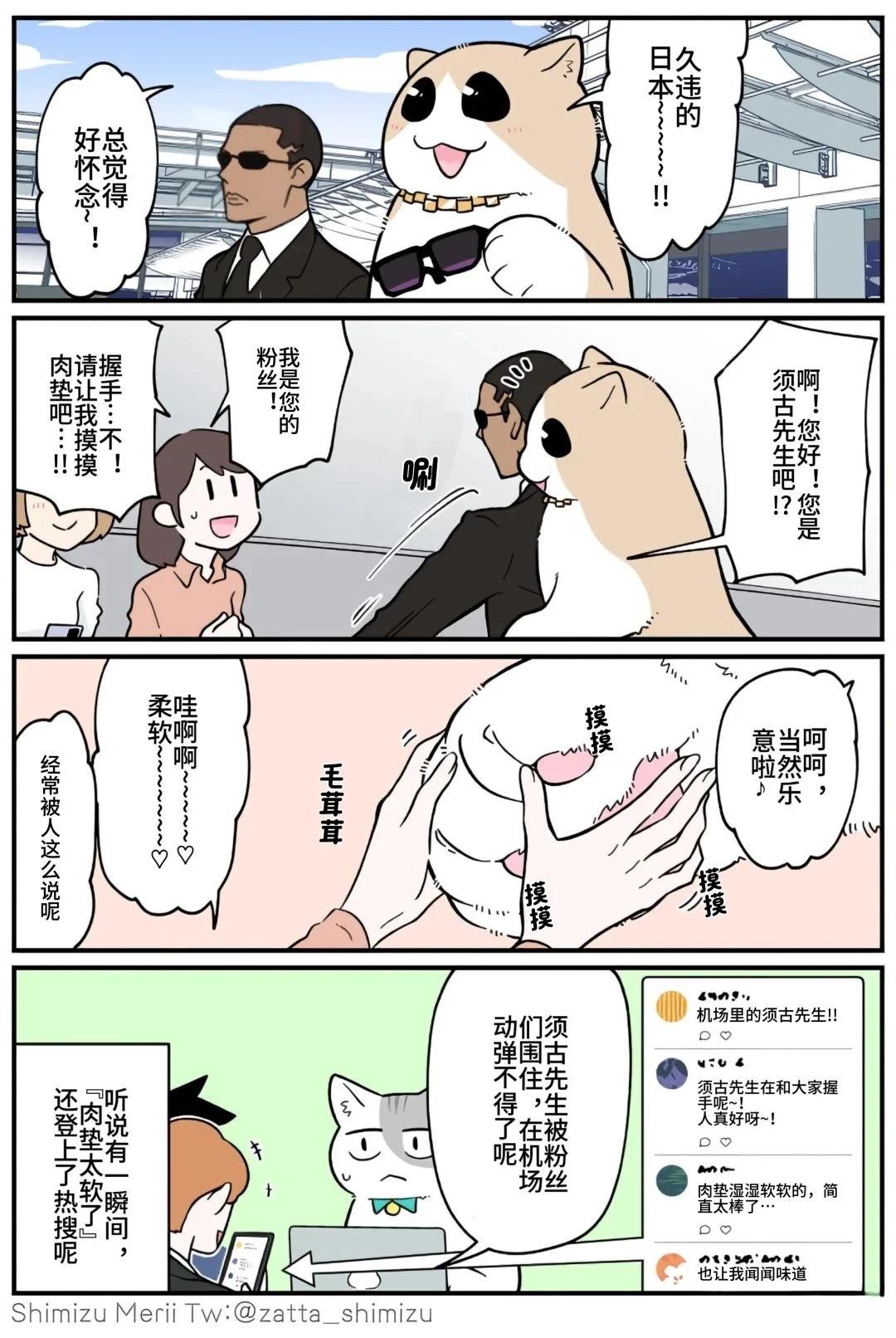 黑心企业的职员变成猫之后人生有了转变的故事 第5.3话 第13页
