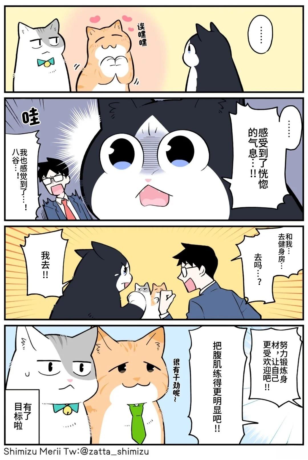 黑心企业的职员变成猫之后人生有了转变的故事 第5.3话 第9页