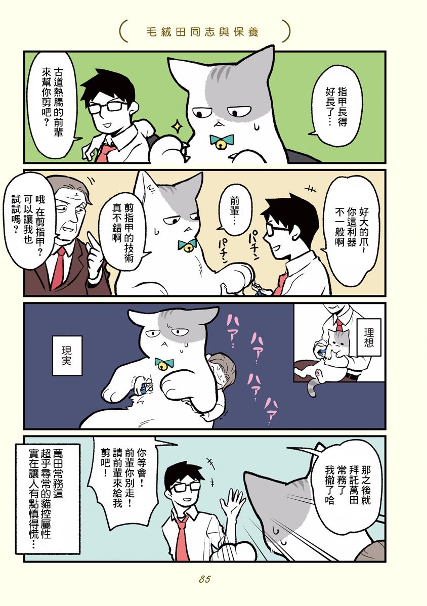 黑心企业的职员变成猫之后人生有了转变的故事 第8话 第9页