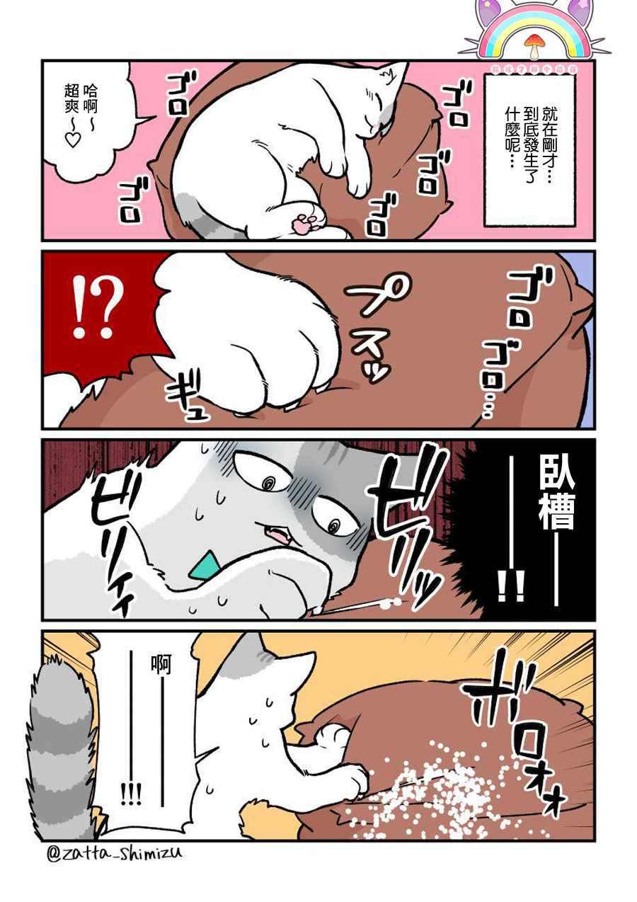 黑心企业的职员变成猫之后人生有了转变的故事 变成猫之后 番外09 第1页