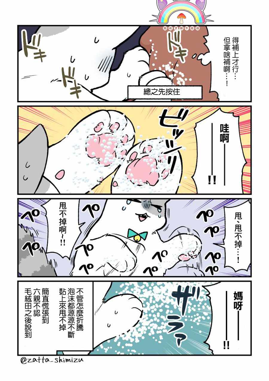 黑心企业的职员变成猫之后人生有了转变的故事 变成猫之后 番外09 第2页