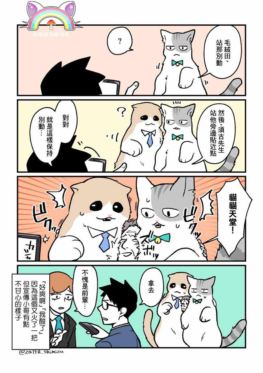 黑心企业的职员变成猫之后人生有了转变的故事 变成猫之后 番外12 第4页