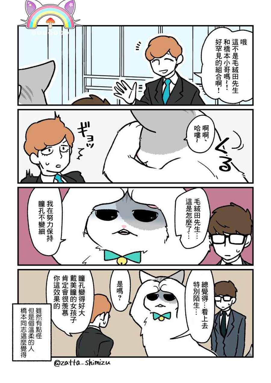 黑心企业的职员变成猫之后人生有了转变的故事 变成猫之后 番外13 第3页