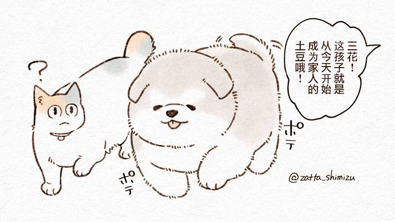 黑心企业的职员变成猫之后人生有了转变的故事 作者自创 猫与狗 第1页