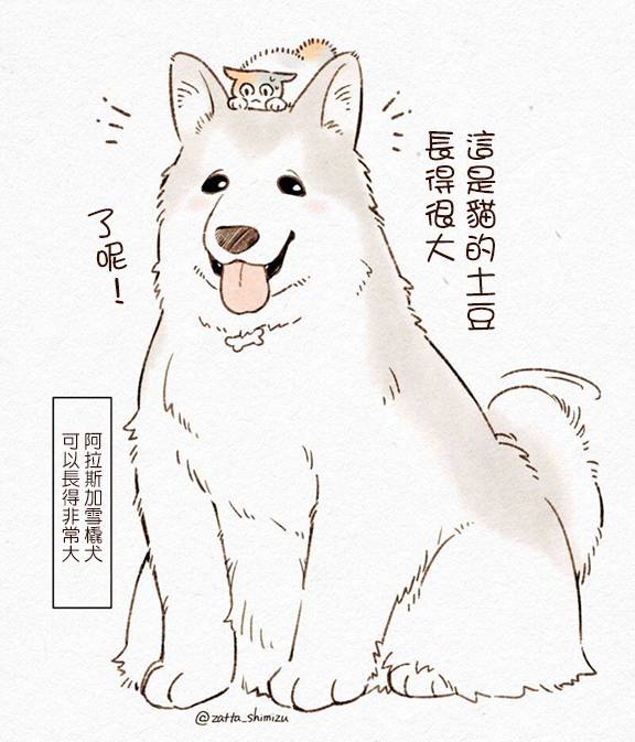 黑心企业的职员变成猫之后人生有了转变的故事 作者自创 猫与狗 第2页