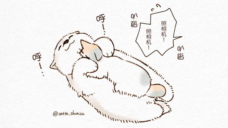 黑心企业的职员变成猫之后人生有了转变的故事 作者自创 猫与狗 第3页