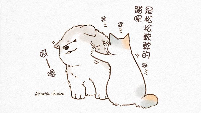 黑心企业的职员变成猫之后人生有了转变的故事 作者自创 猫与狗 第4页