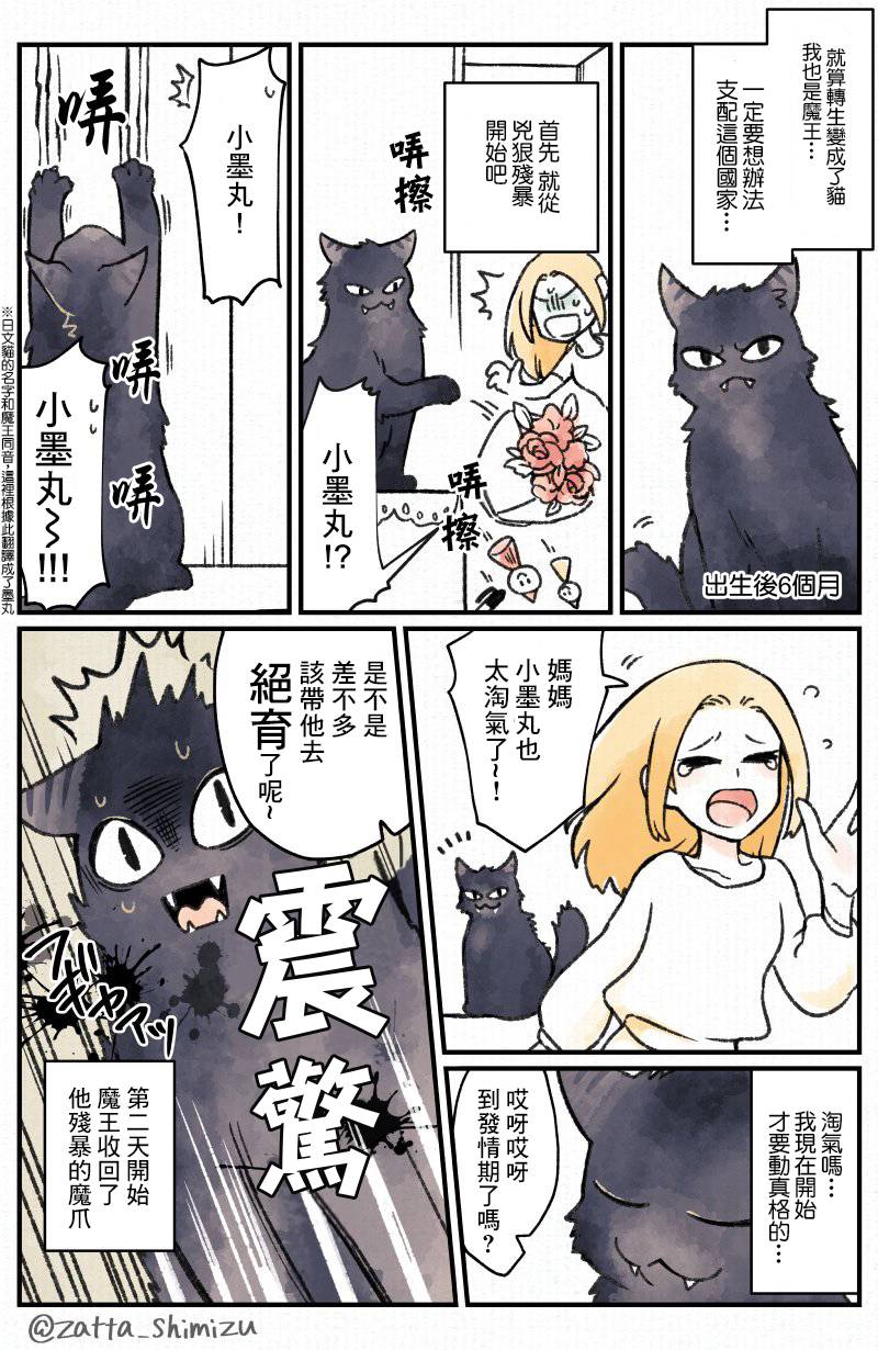黑心企业的职员变成猫之后人生有了转变的故事 作者自创 恶魔转生为猫 第2页