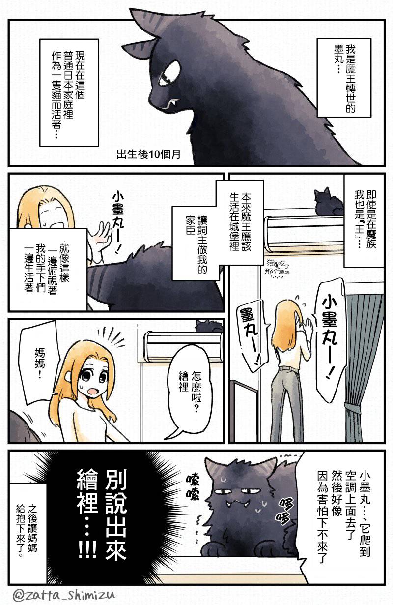 黑心企业的职员变成猫之后人生有了转变的故事 作者自创 恶魔转生为猫 第3页