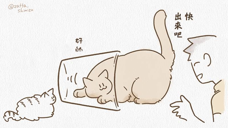 黑心企业的职员变成猫之后人生有了转变的故事 作者自创 夏日一杯猫 第6页
