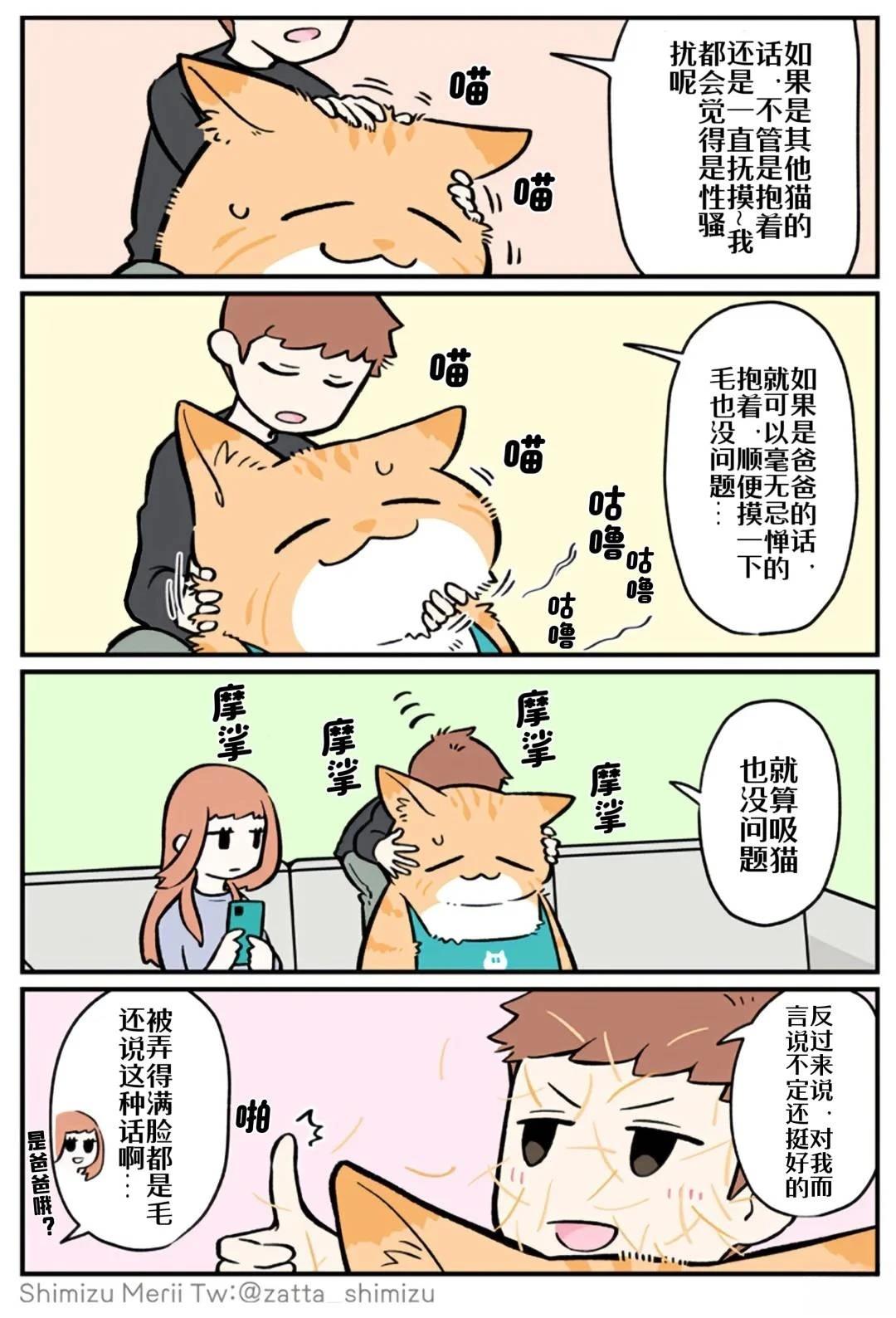黑心企业的职员变成猫之后人生有了转变的故事 第4.3话 第7页