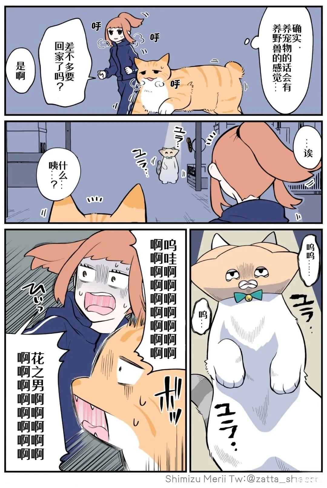 黑心企业的职员变成猫之后人生有了转变的故事 第4.4话 第11页