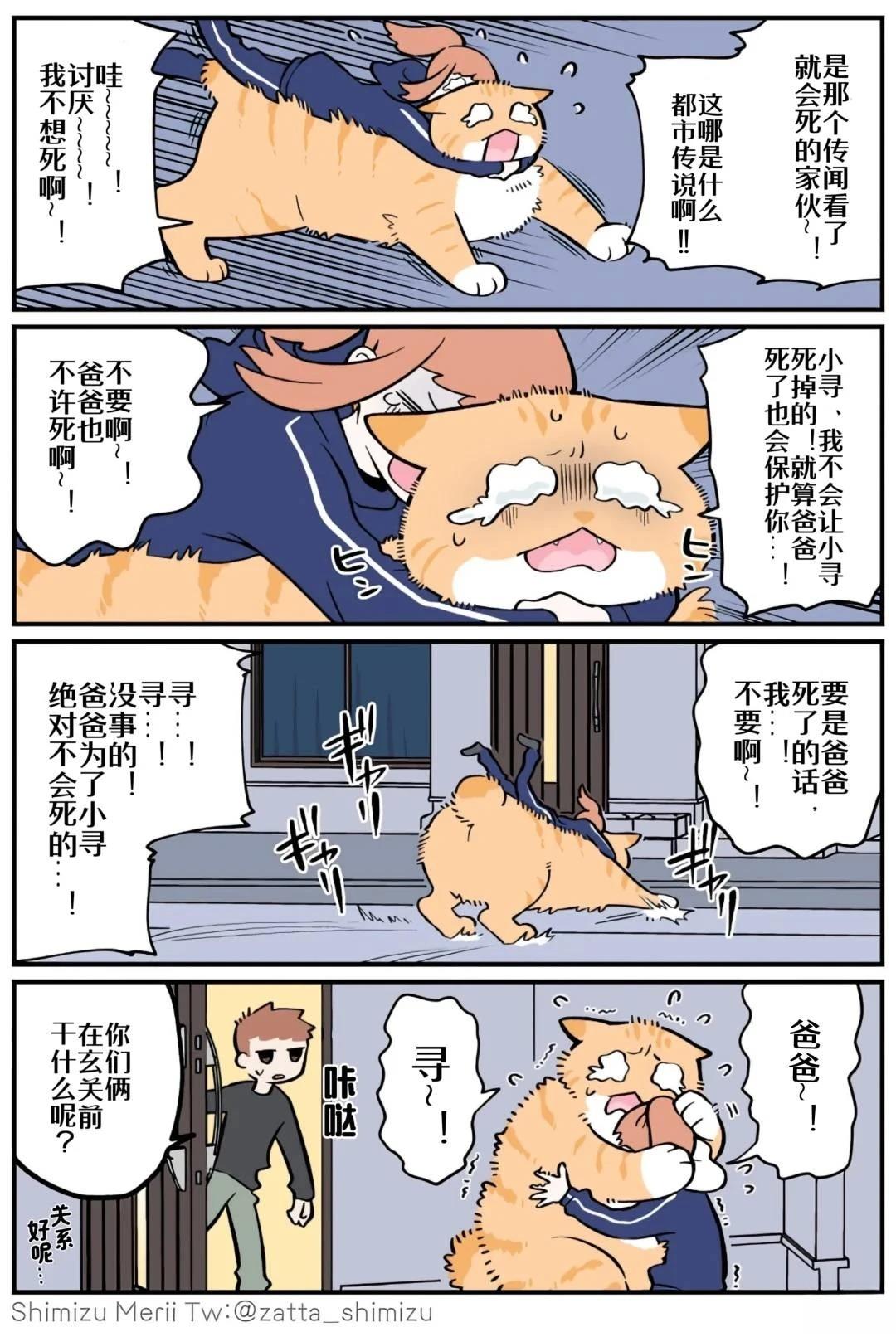 黑心企业的职员变成猫之后人生有了转变的故事 第4.4话 第12页