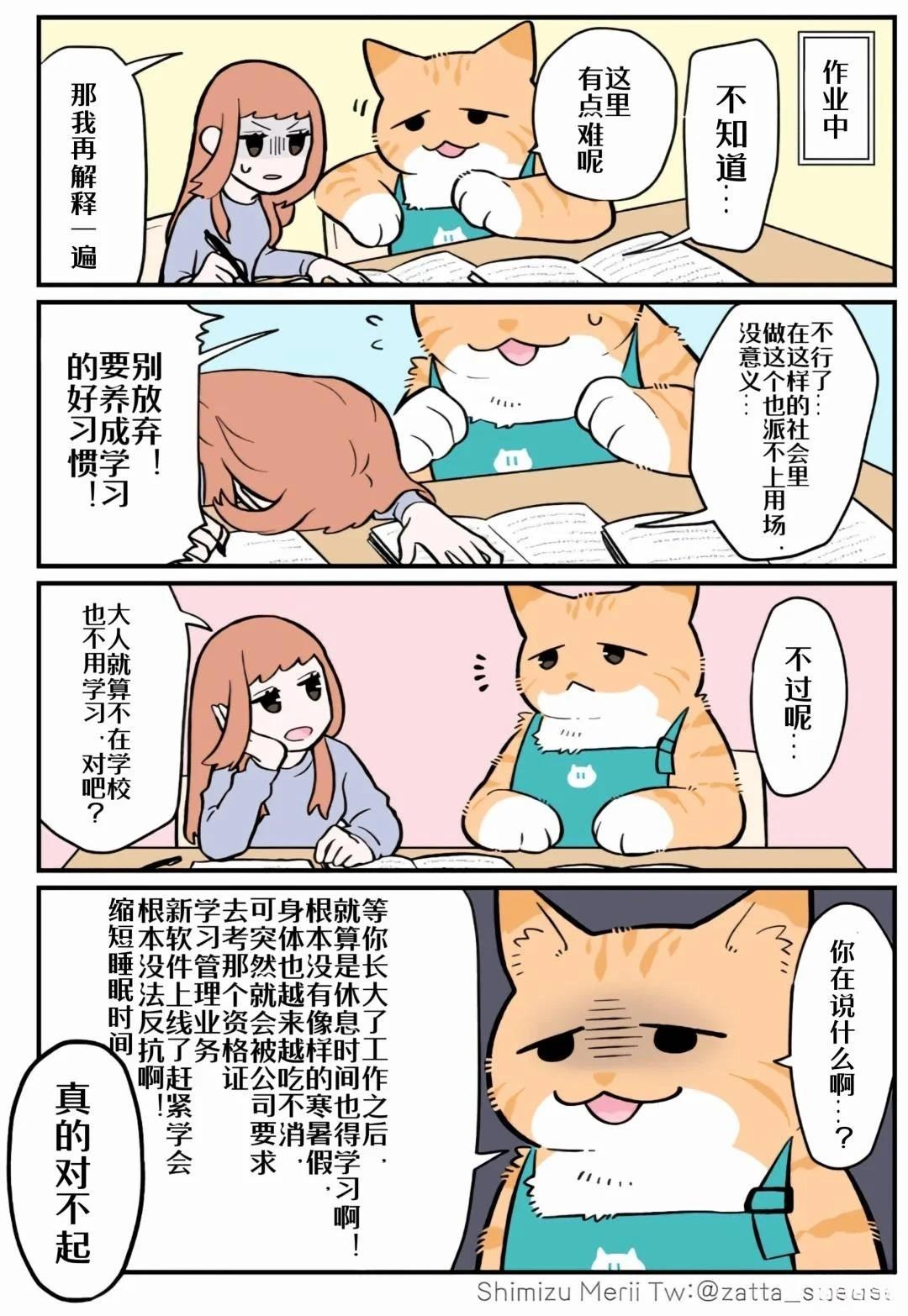 黑心企业的职员变成猫之后人生有了转变的故事 第4.4话 第5页