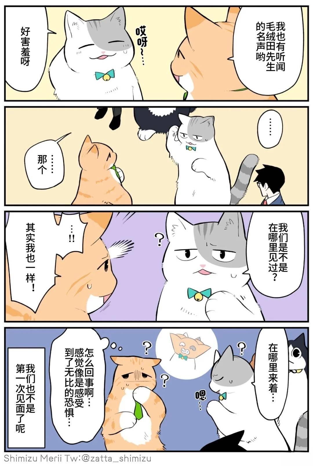 黑心企业的职员变成猫之后人生有了转变的故事 第5.1话 第1页