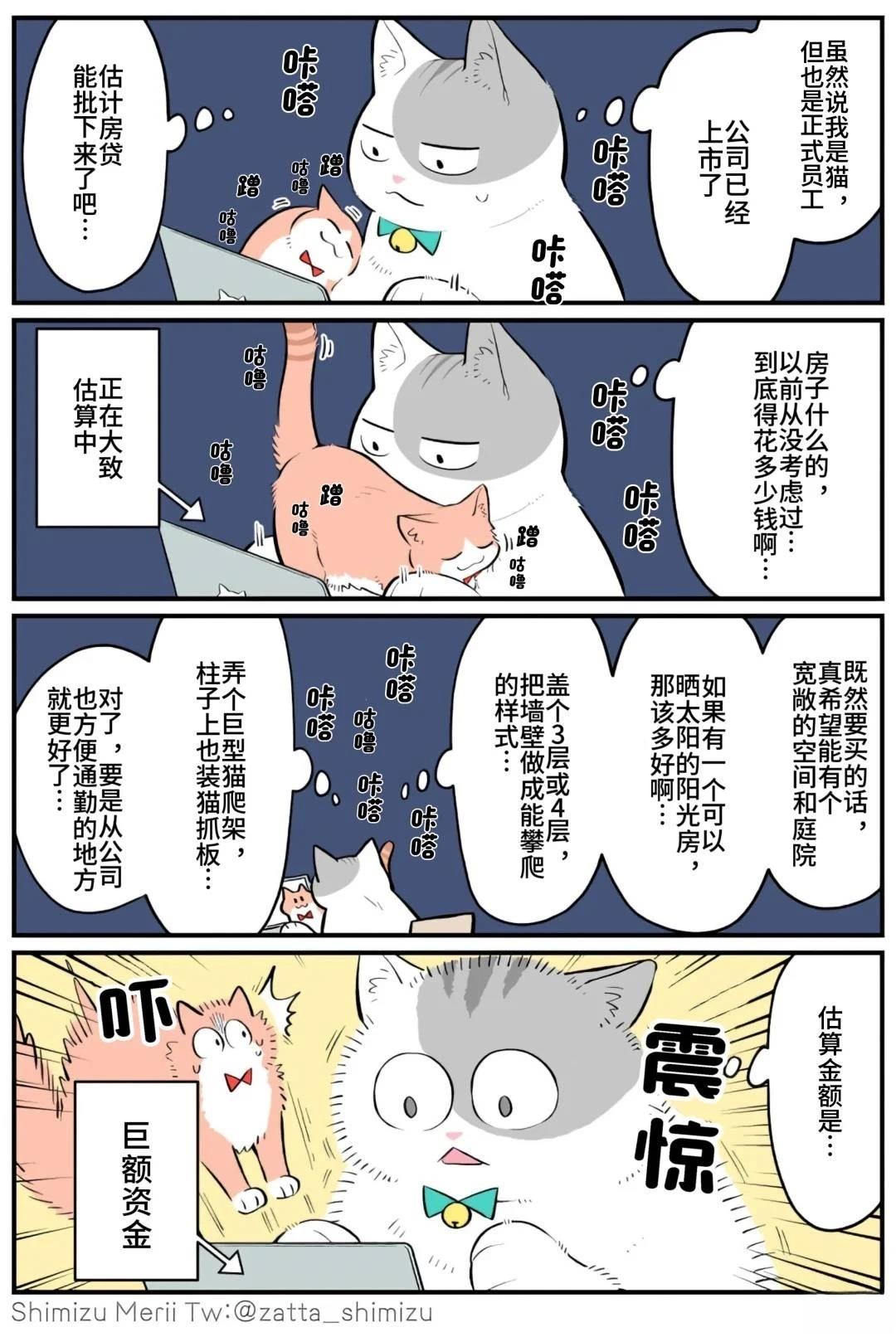 黑心企业的职员变成猫之后人生有了转变的故事 第5.1话 第11页
