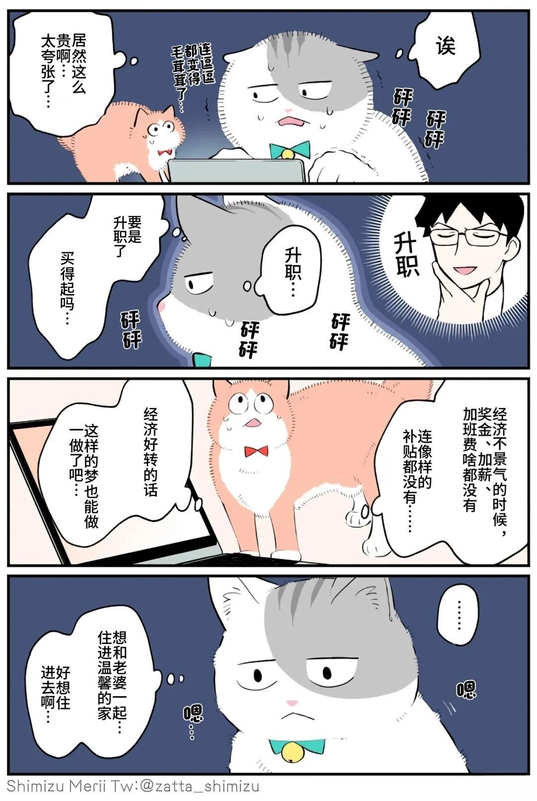 黑心企业的职员变成猫之后人生有了转变的故事 第5.1话 第12页