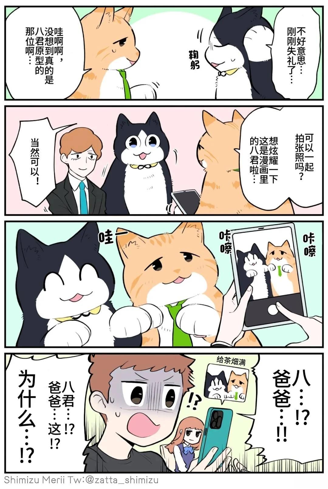 黑心企业的职员变成猫之后人生有了转变的故事 第5.1话 第15页