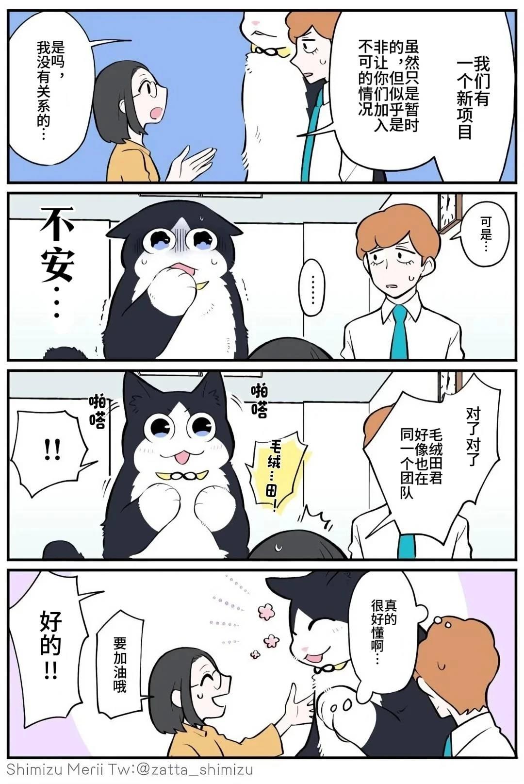 黑心企业的职员变成猫之后人生有了转变的故事 第5.1话 第3页