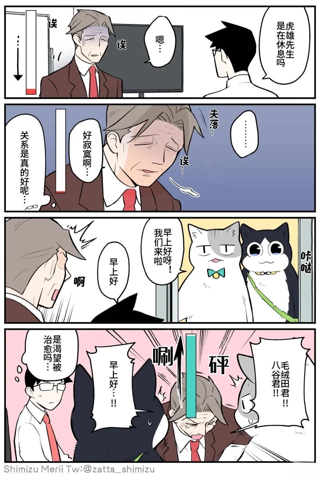 黑心企业的职员变成猫之后人生有了转变的故事 第5.2话 第13页