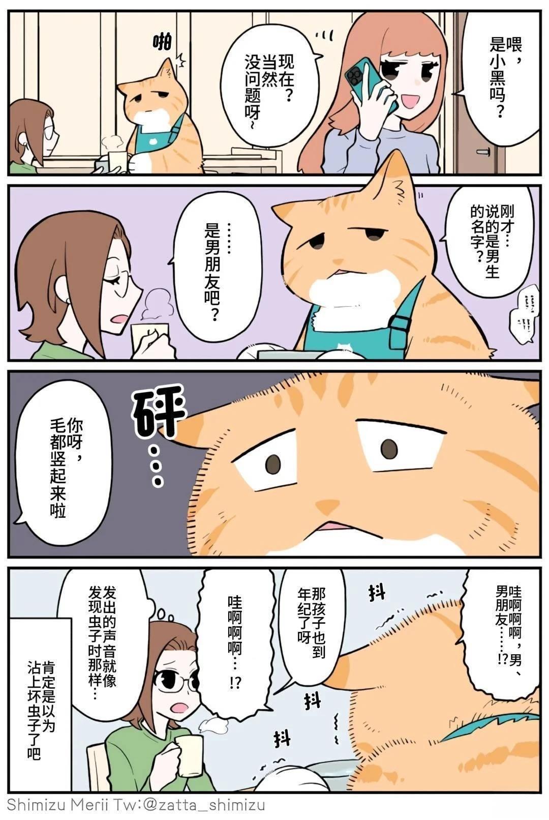 黑心企业的职员变成猫之后人生有了转变的故事 第5.2话 第14页