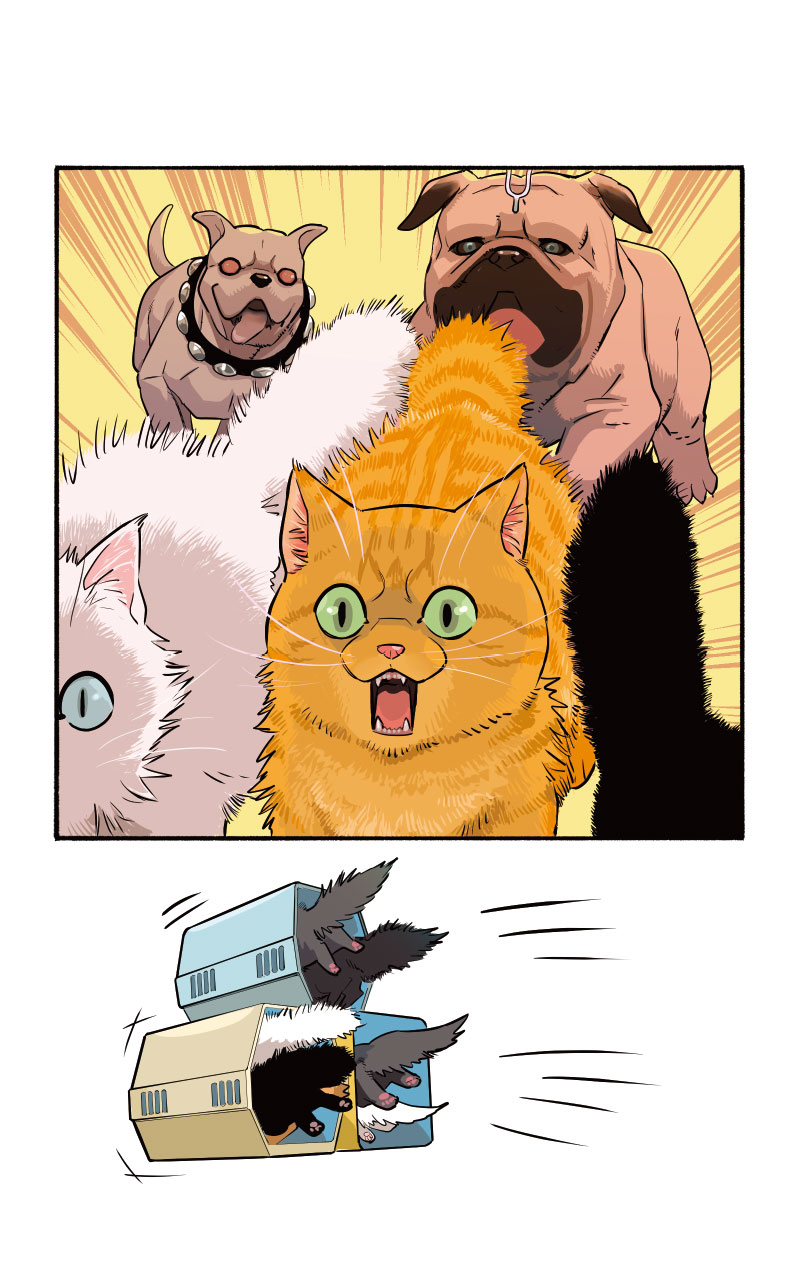 漫威喵喵 第4话 第7页