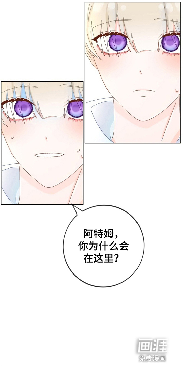 星坠于他 第8话 第13页