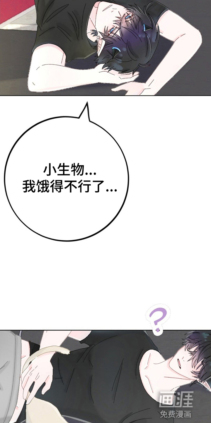 星坠于他 第6话 第2页