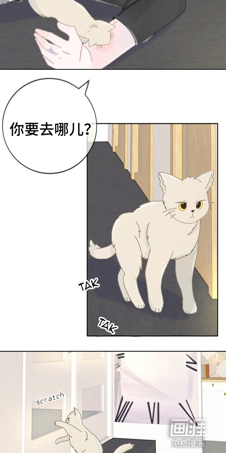星坠于他 第6话 第3页