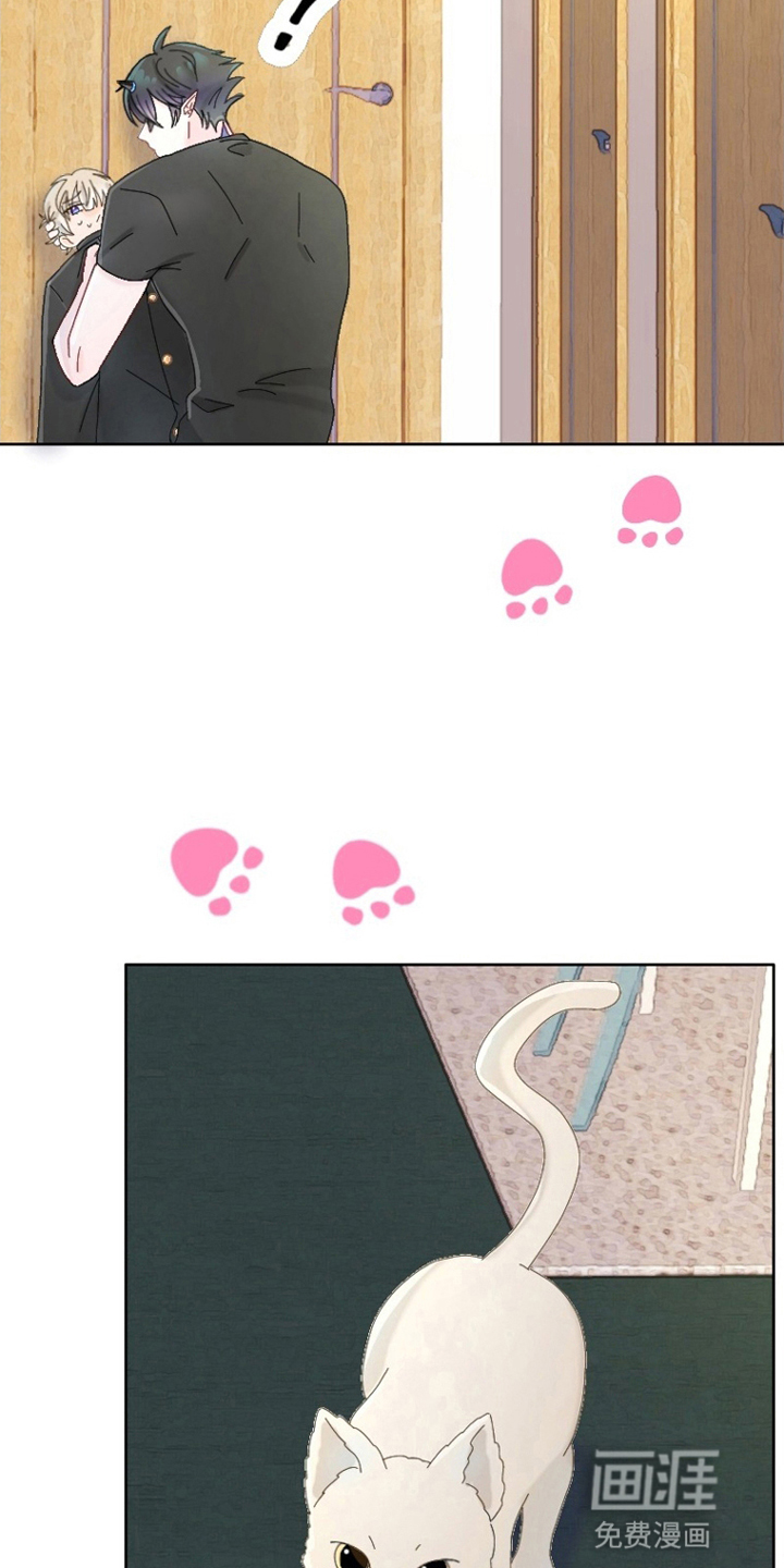 星坠于他 第4话 第3页
