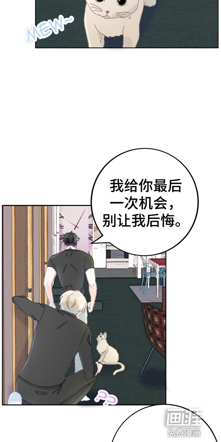 星坠于他 第4话 第4页