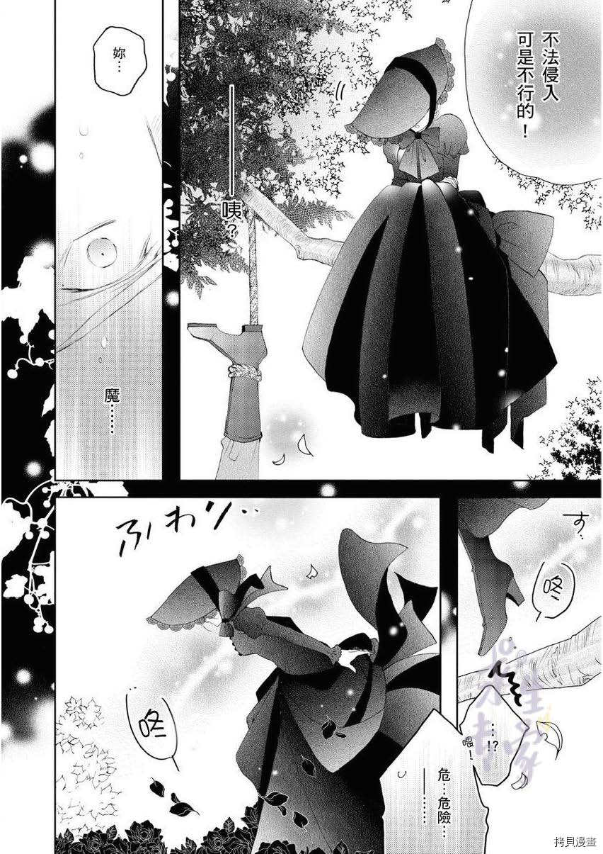 黑蔷薇魔女与黄金皇子的情不自禁 第1.1话 第12页