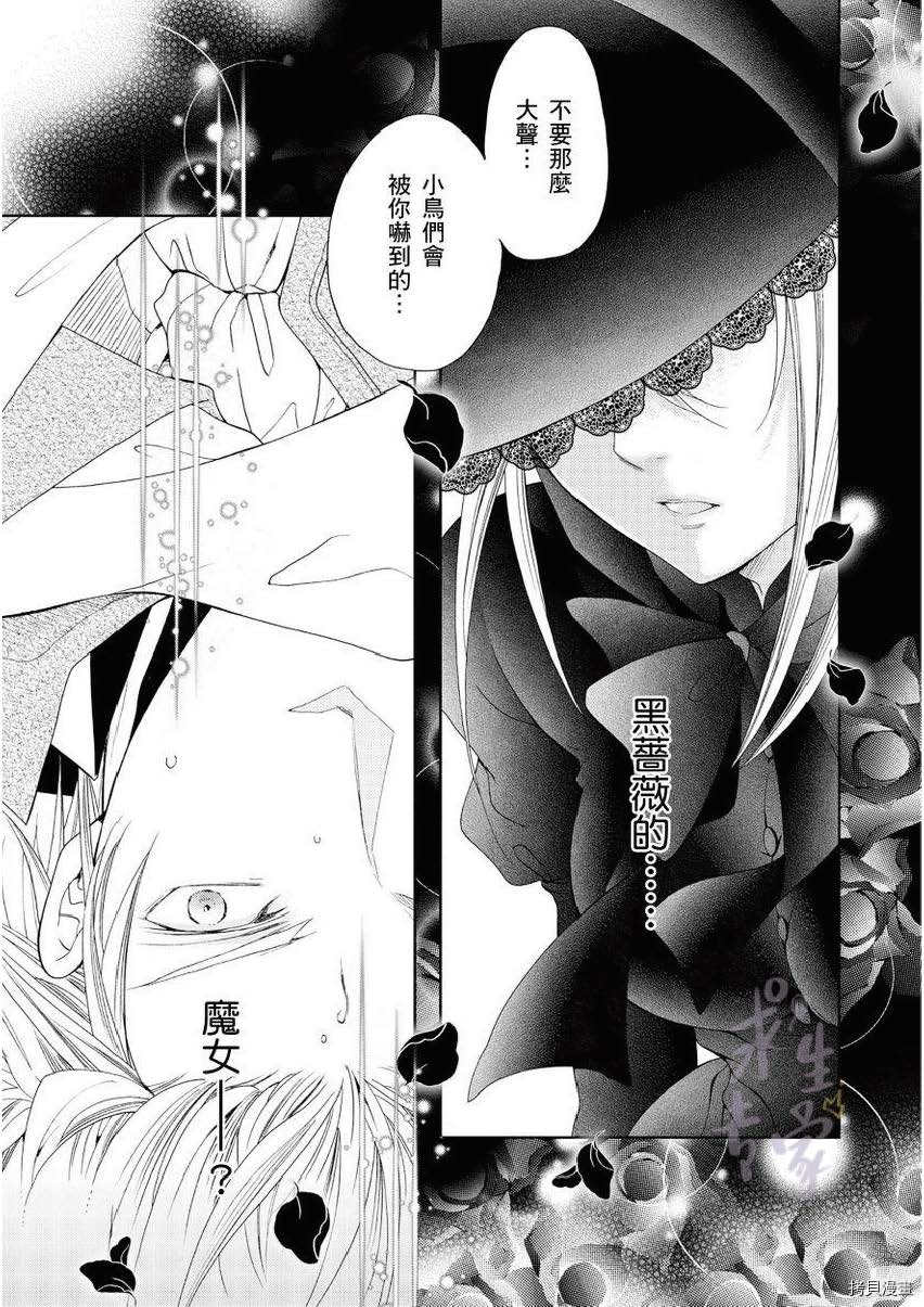 黑蔷薇魔女与黄金皇子的情不自禁 第1.1话 第13页