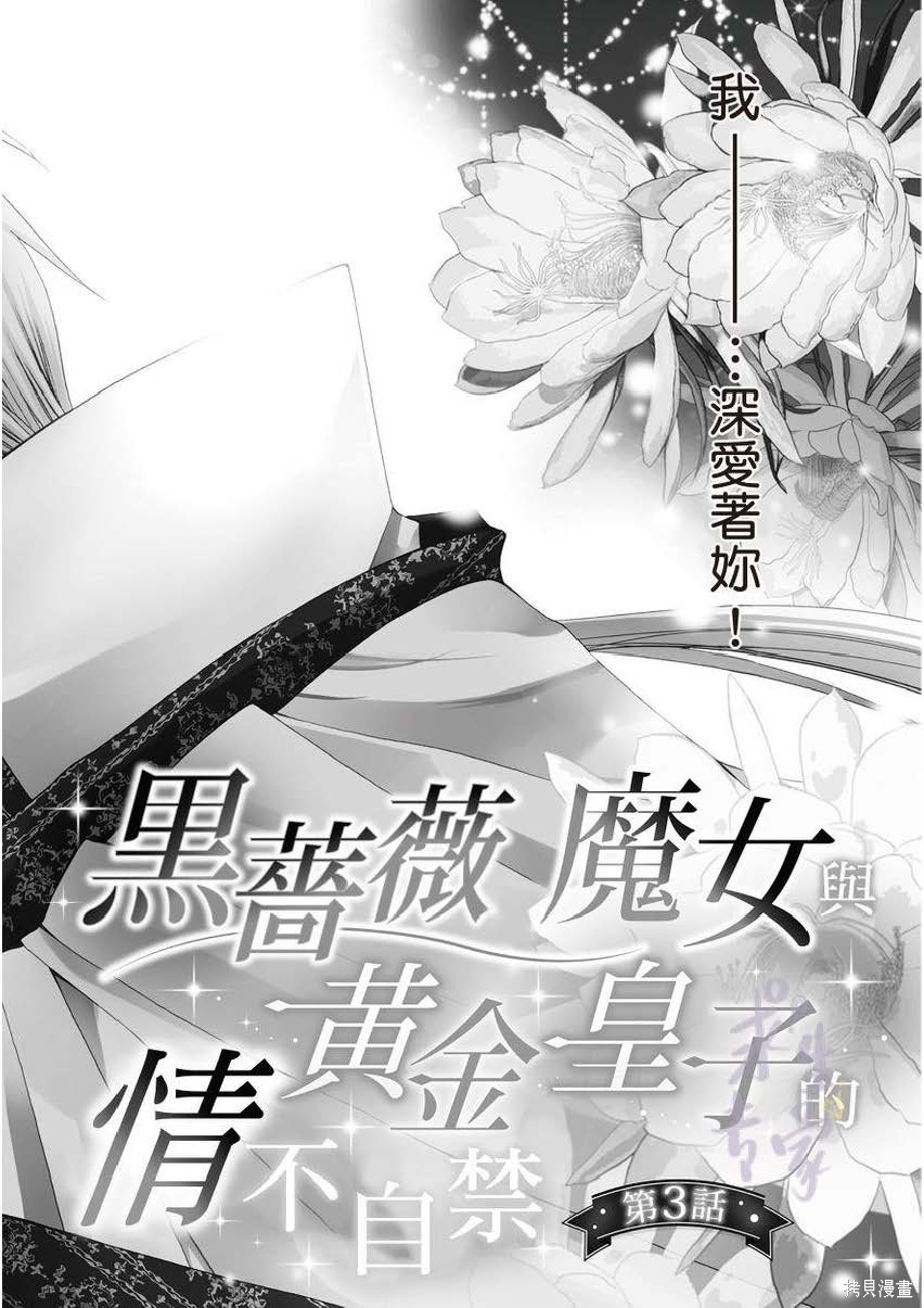 黑蔷薇魔女与黄金皇子的情不自禁 第3话 第6页