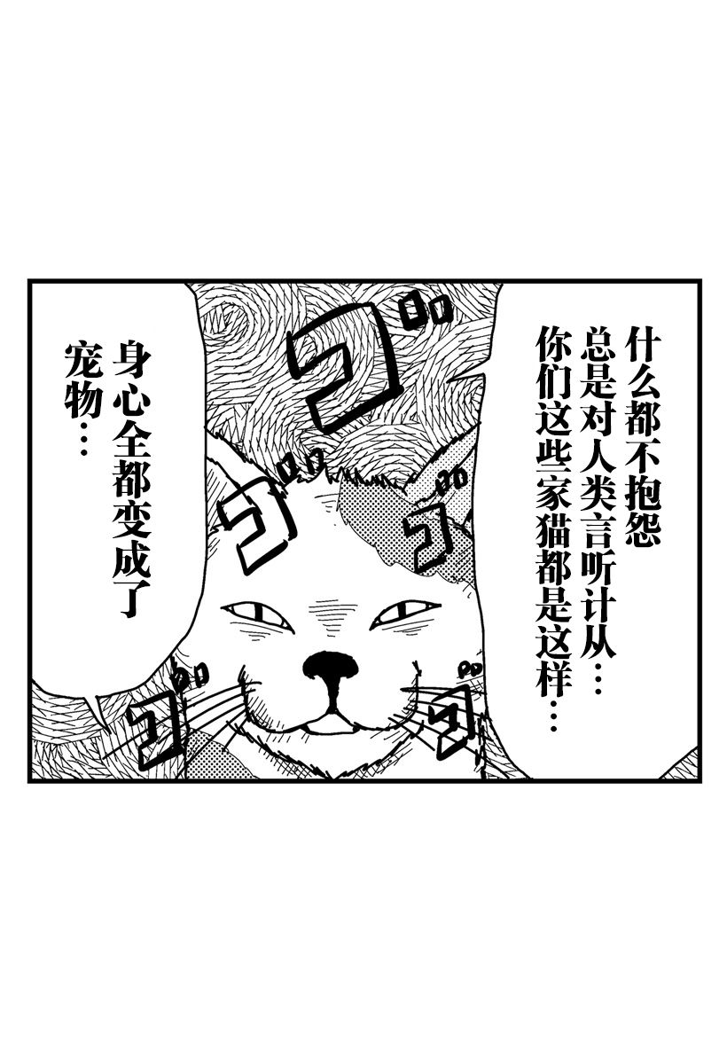 猫田日和 第7话 第10页