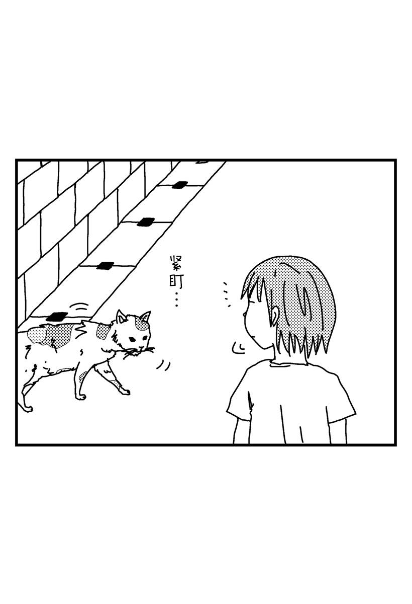 猫田日和 第8话 第9页