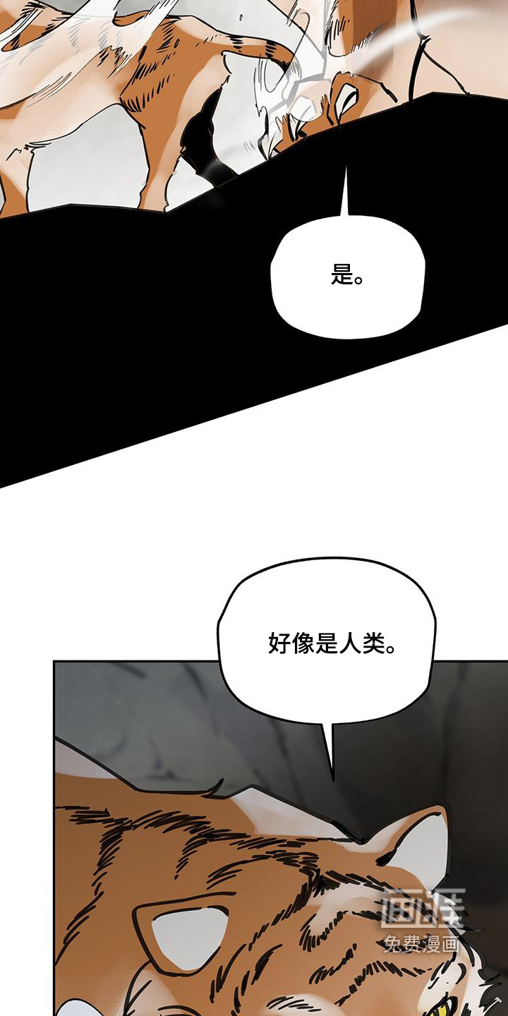 山隐之士 第171话 第14页