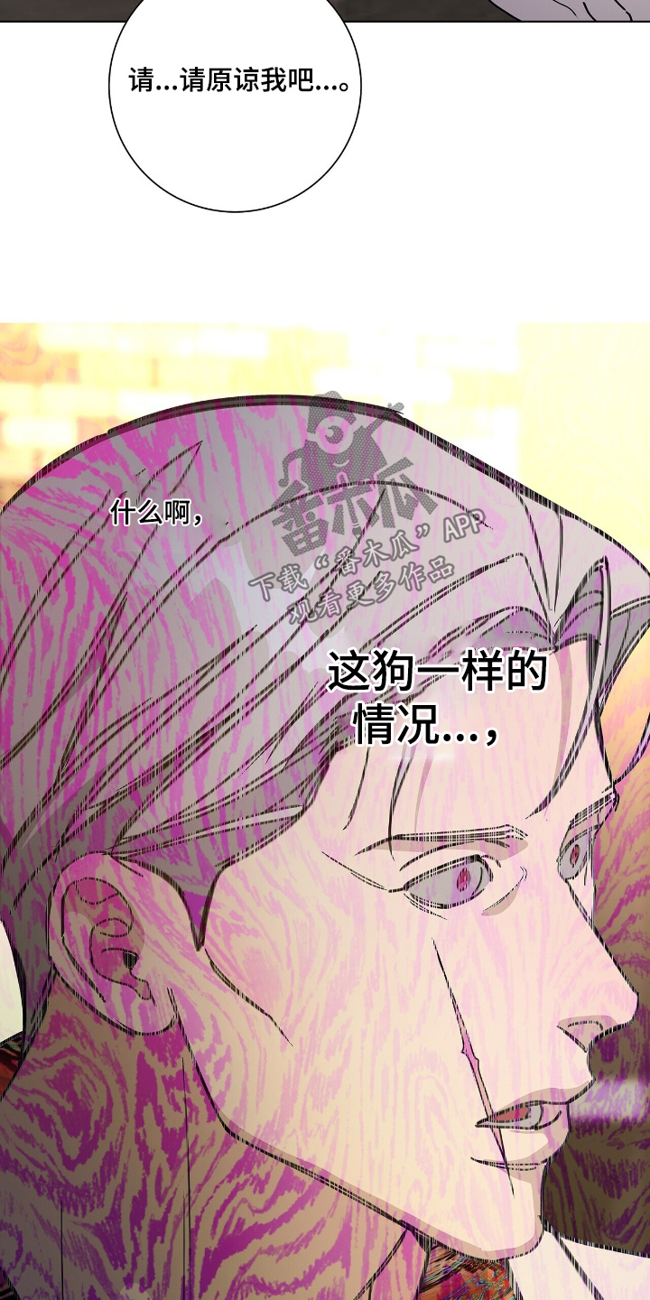 危险爆发 第116话 第11页