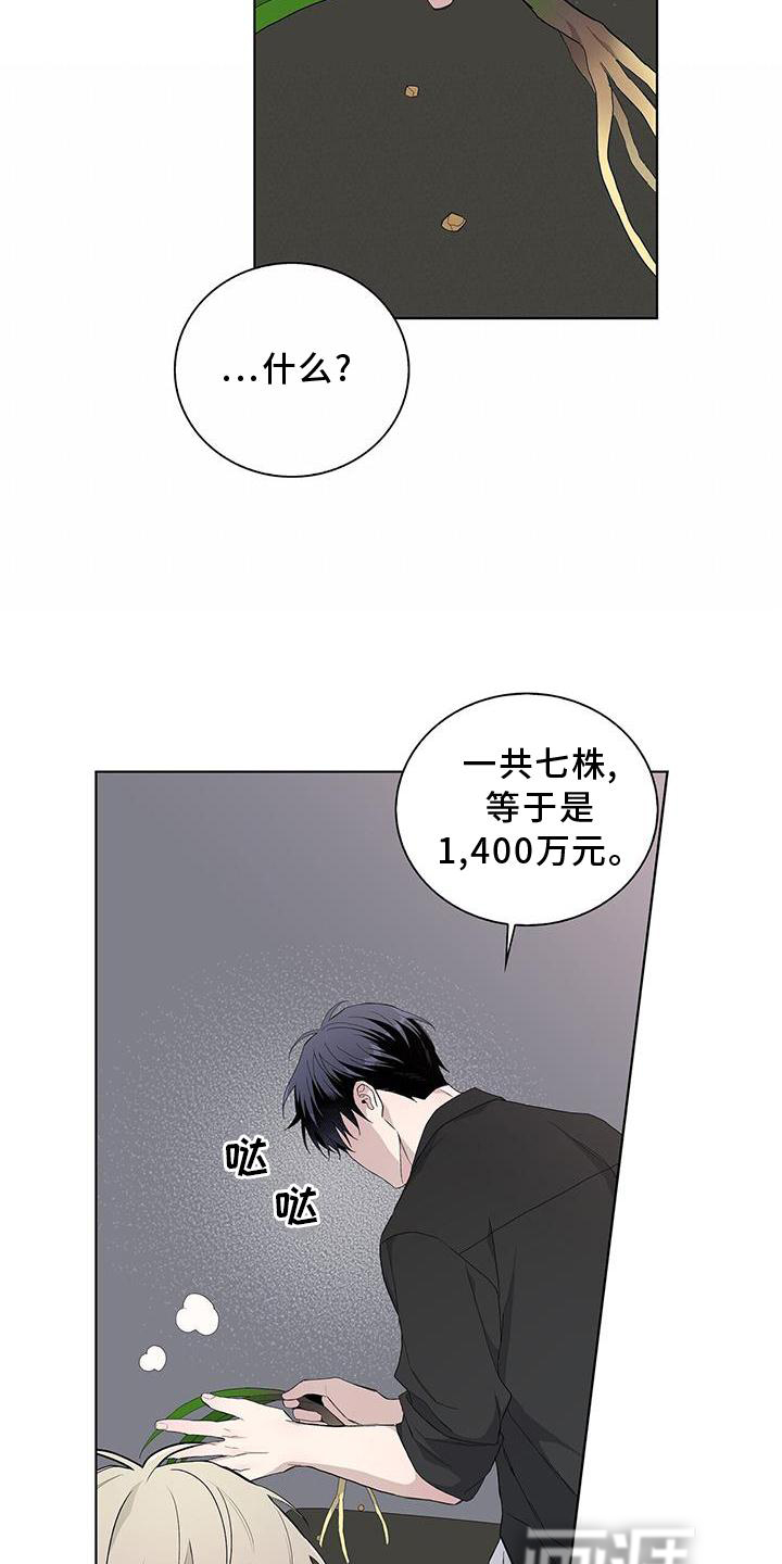 危险爆发 第32话 第11页