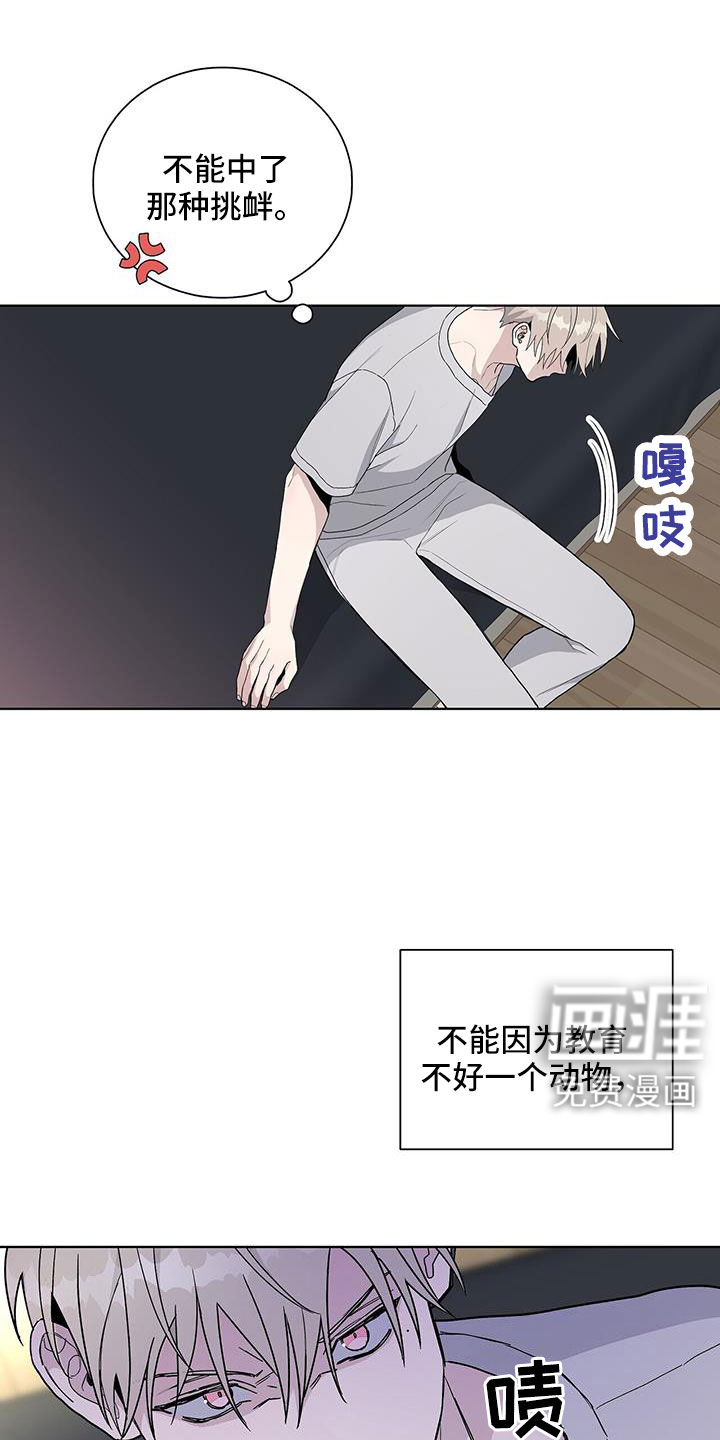 危险爆发 第37话 第13页