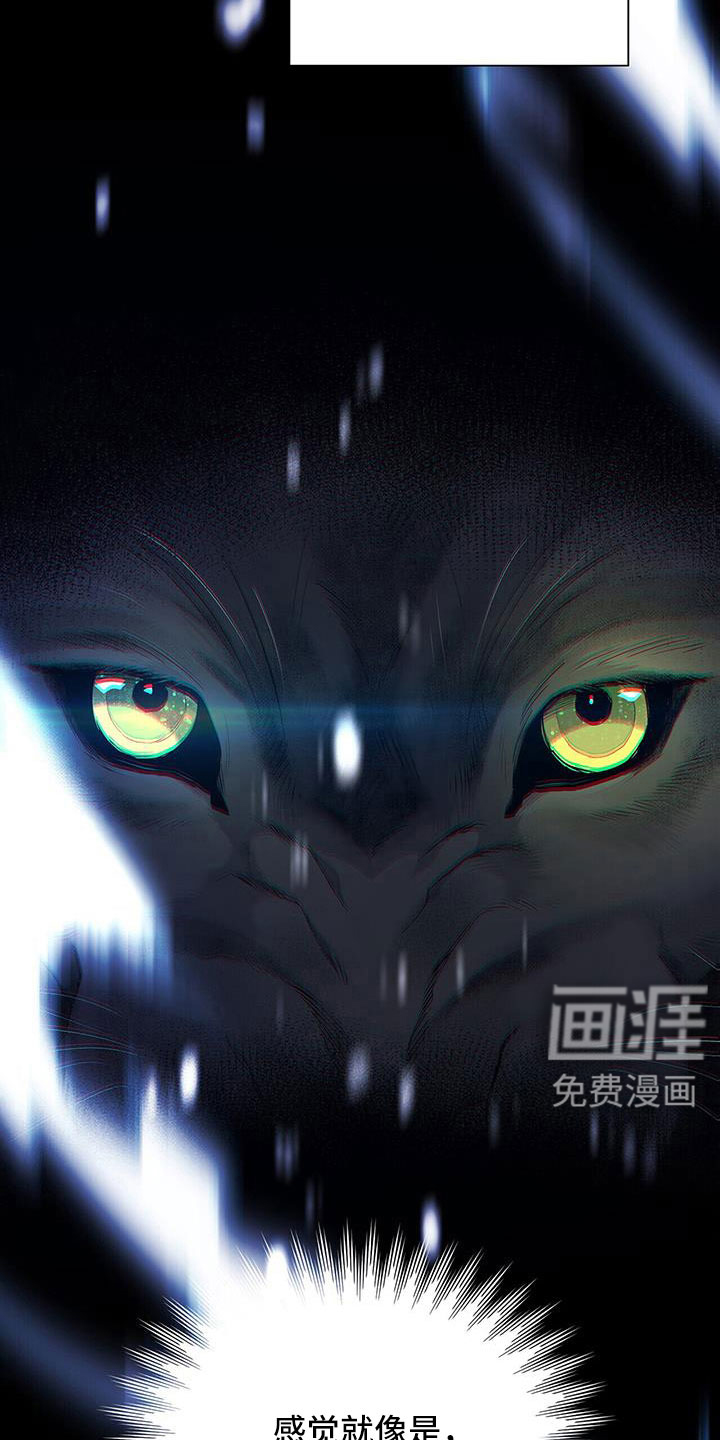 危险爆发 第38话 第13页