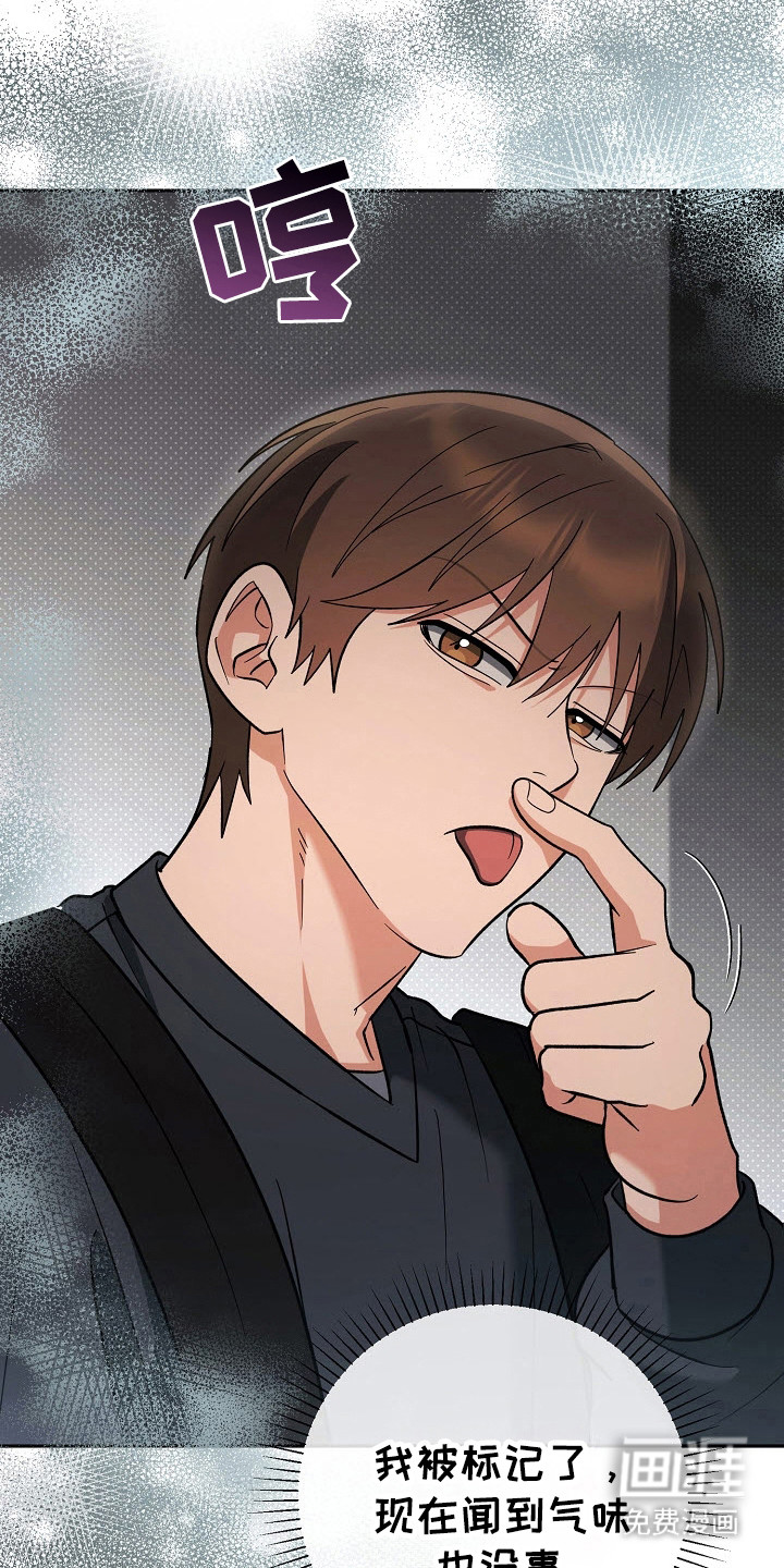 遇见浪漫的他 第68话 第14页