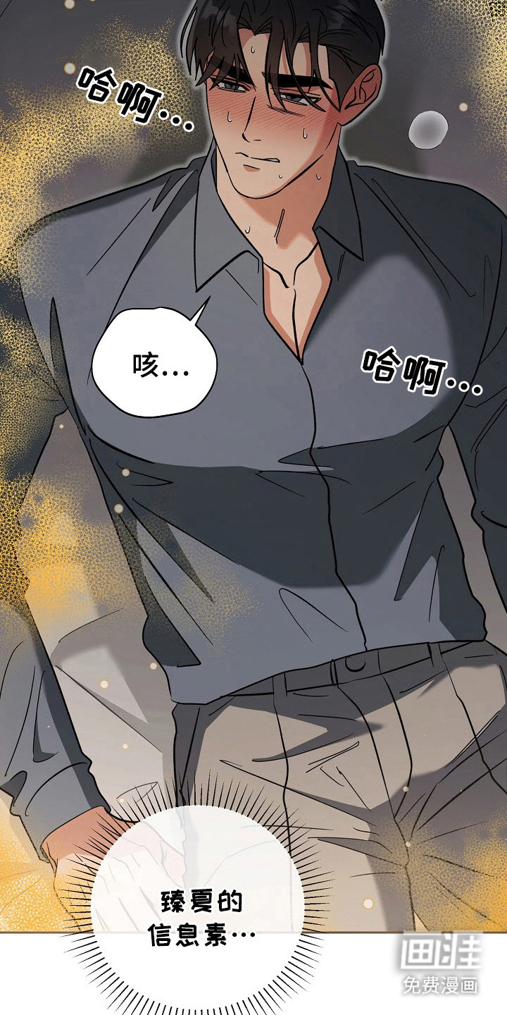 遇见浪漫的他 第74话 第15页