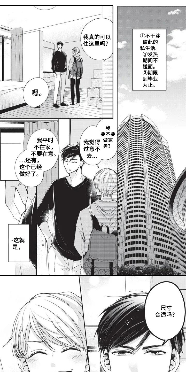 结婚规则 第1话 第1页