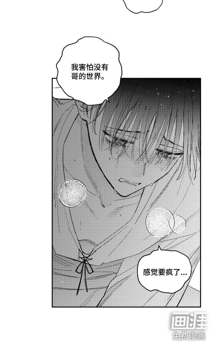 虚假的另一个他 第66话 第17页