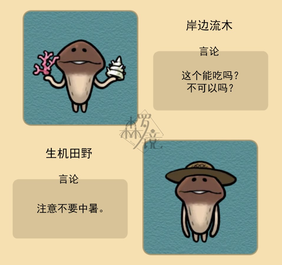 菇菇timeDX neo图鉴-001 第5页