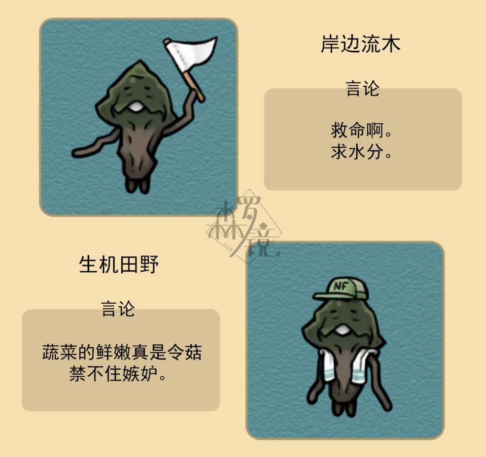 菇菇timeDX neo图鉴-002 第5页
