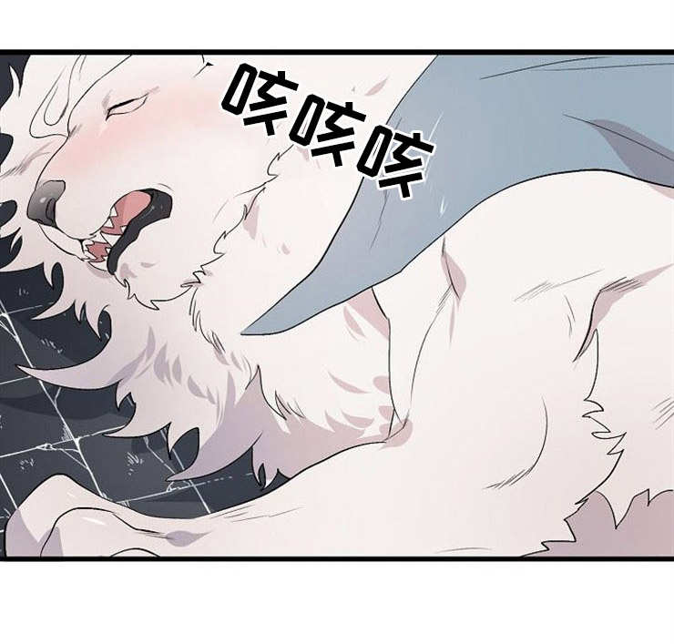 魔力预警 第21话 第1页